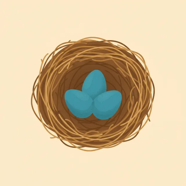 nest — illustrated flashcard
