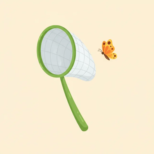 net — illustrated flashcard