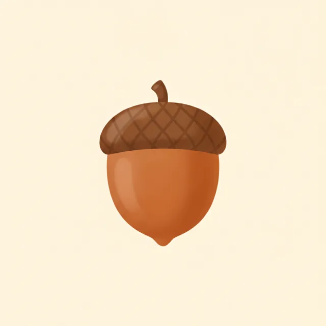 nut — illustrated flashcard