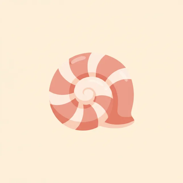 shell — illustrated flashcard
