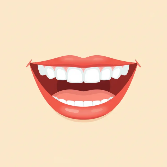 teeth — illustrated flashcard
