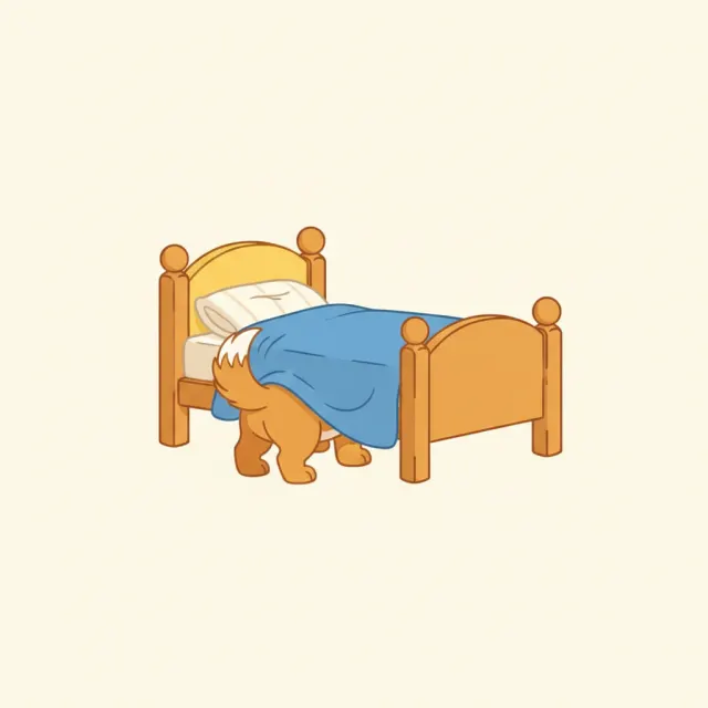 Where is the dog? — illustrated flashcard