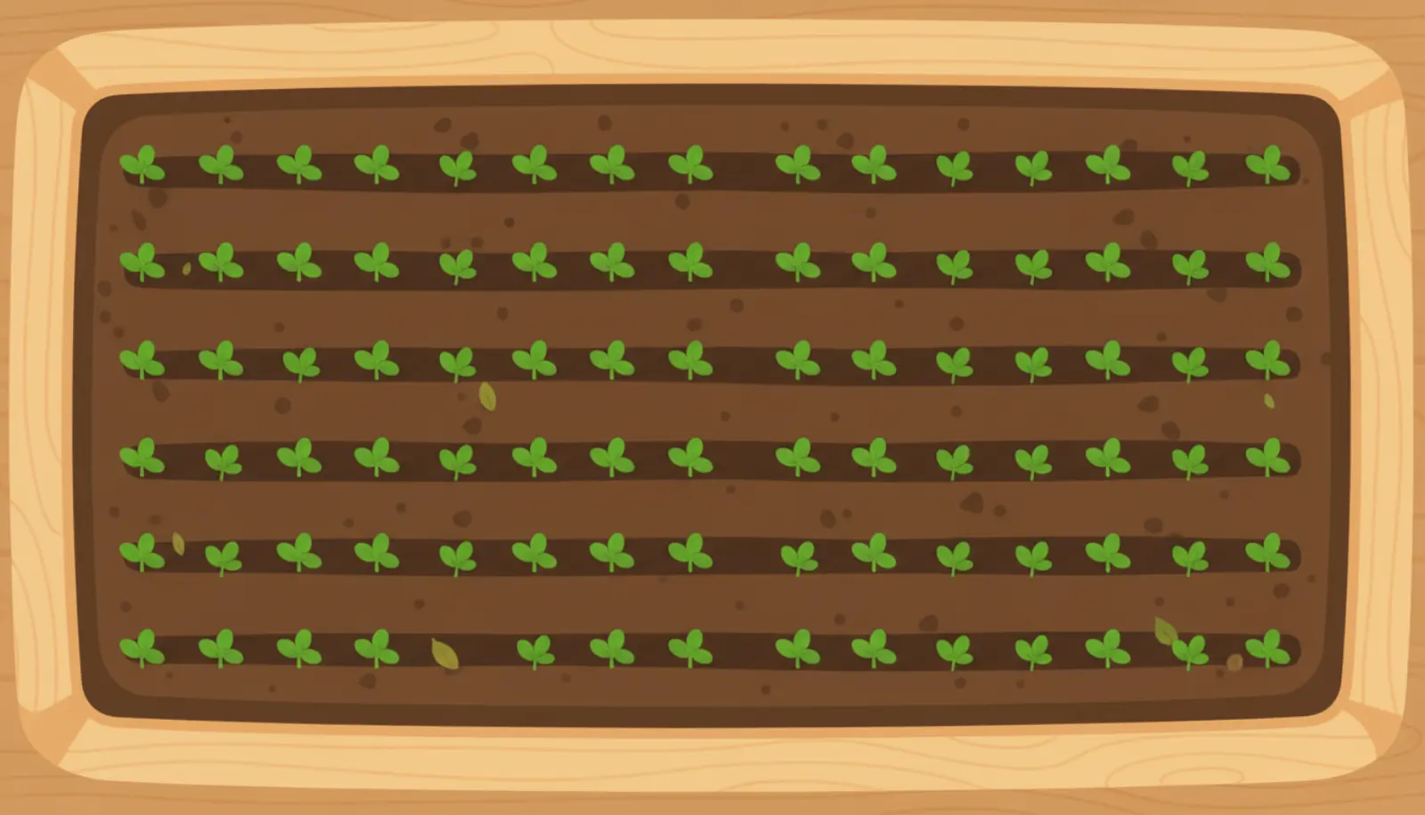 Garden Seed Patch game preview